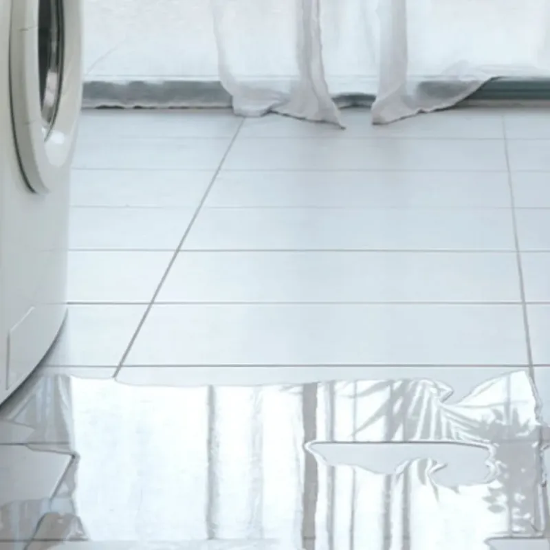Appliance Leak Cleanup in Cahokia, IL