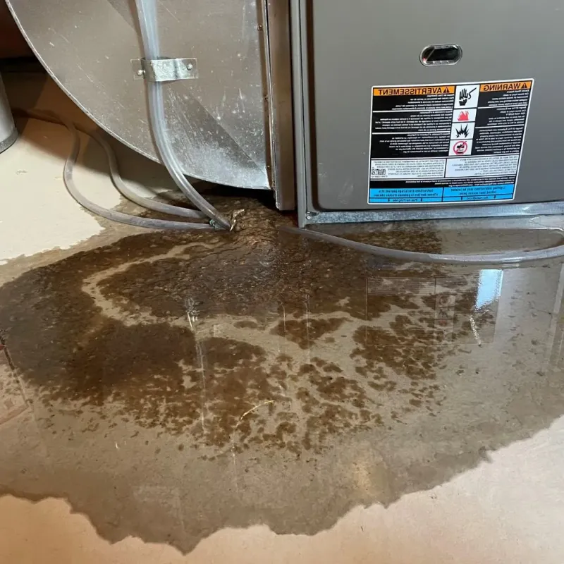 Pipe Burst and Leak Restoration in Cahokia, IL