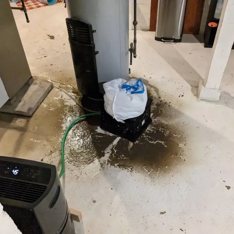 Sewage Backup Cleanup Service in Cahokia, IL